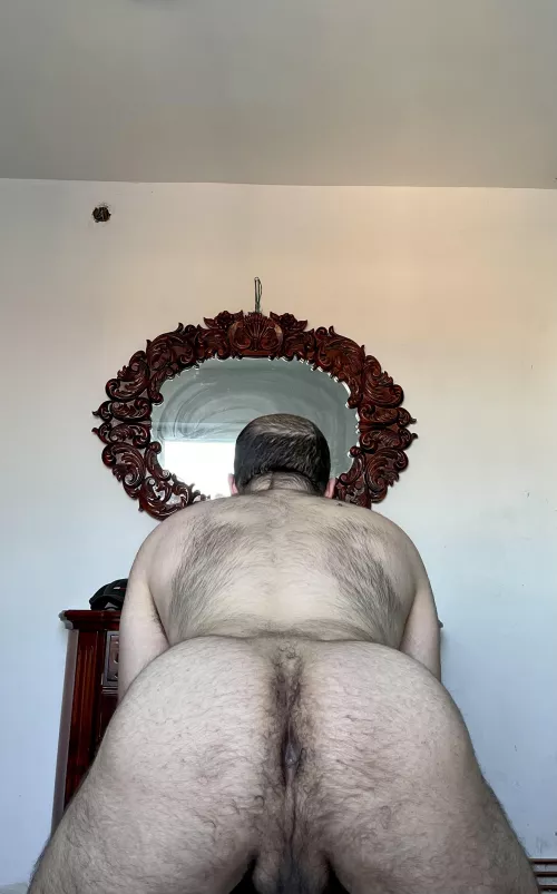 Breed my hole 😈 by gaygluteuss