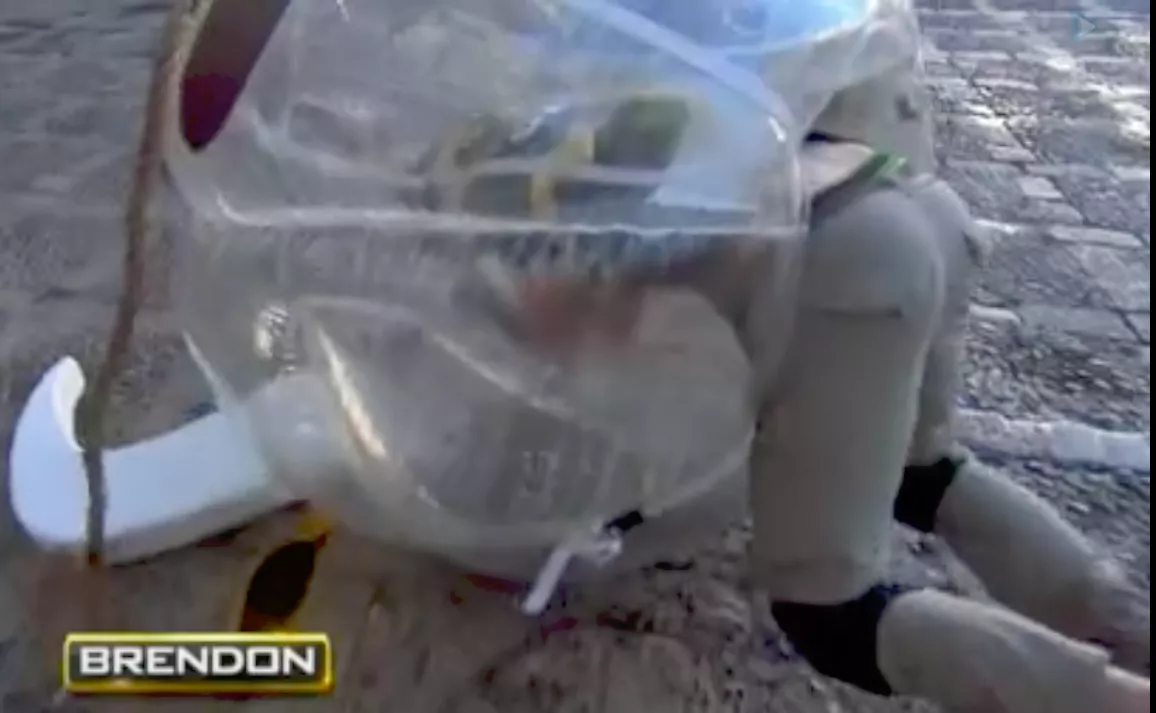 Brendon (BB12/13) Ass On TAR posted by bbrother89