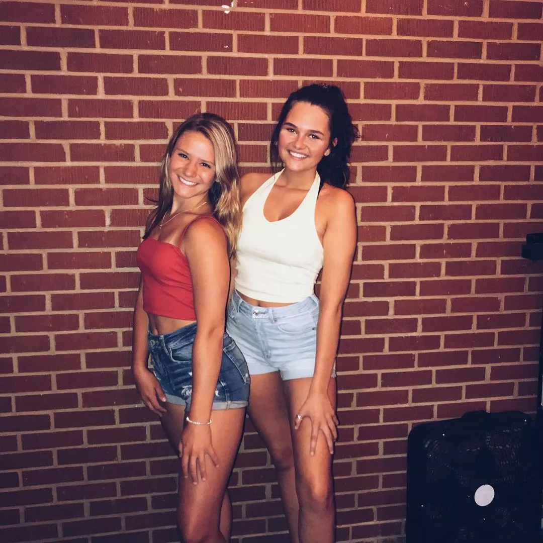 Brick Wall posted by WarmObserver