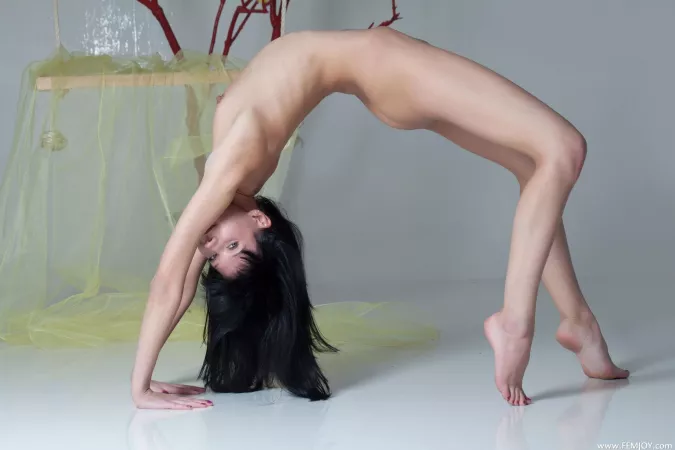 Bridge by Dadbodtothemax