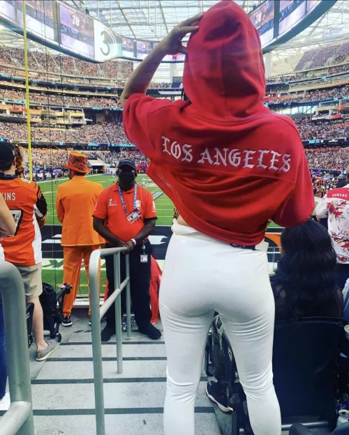 Brie Bella’s Ass 🍑 by wrestlingdivababes