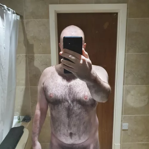 British Bear looking for an American Princess! by LegalSadist