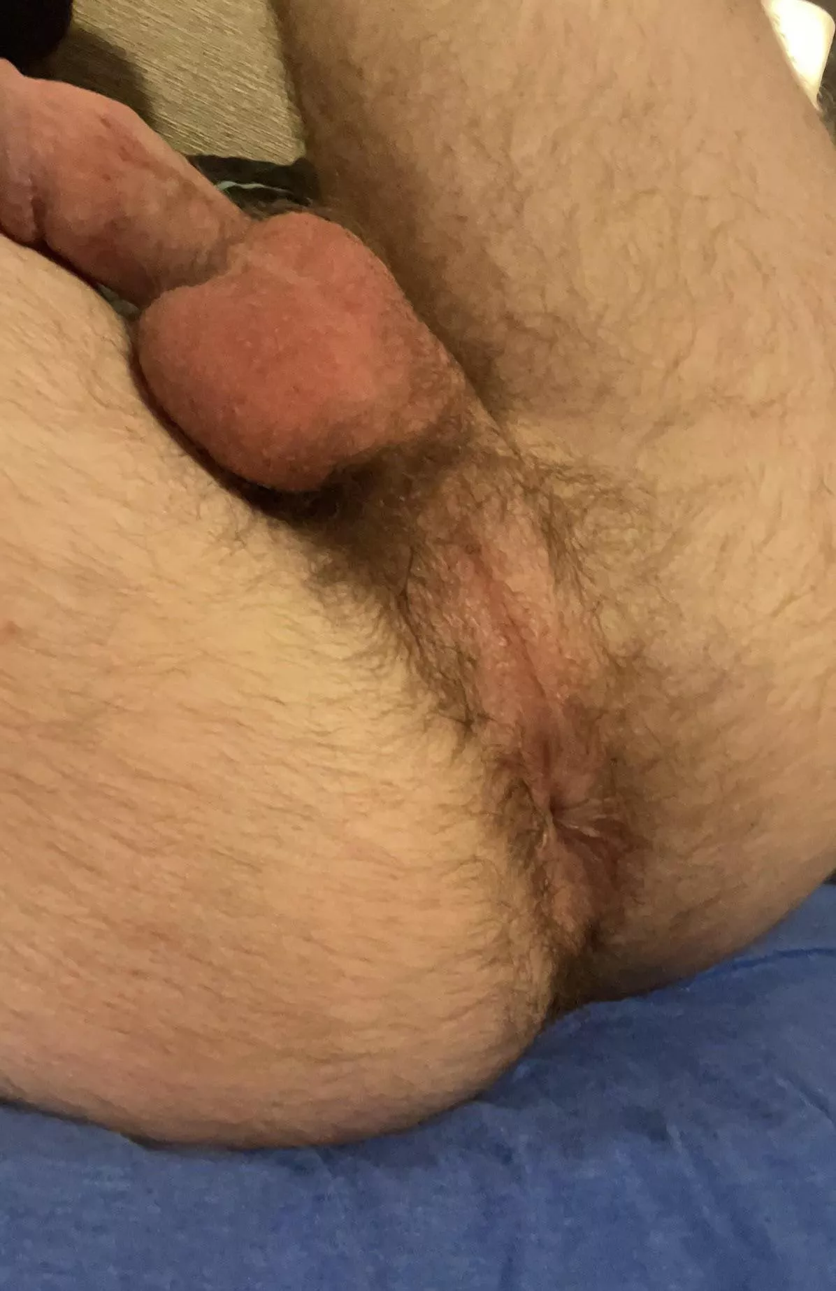 bros tease each other’s hairy holes posted by make_light