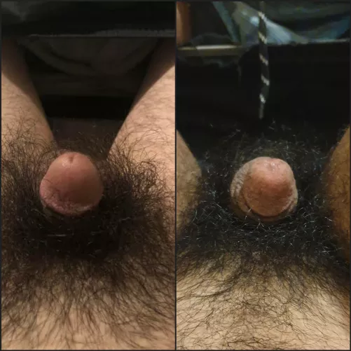 Brother and I decided to strip and show how similar our hairy cocks were. Hope you enioy😊 by Tootie20088002
