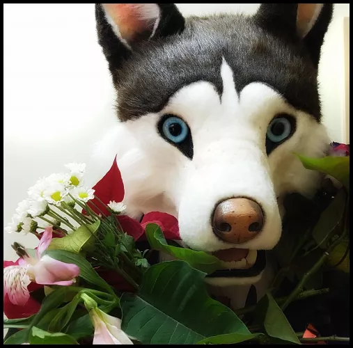 Brought all you some flowers, for being such a supportive community to me. by PileOfScales