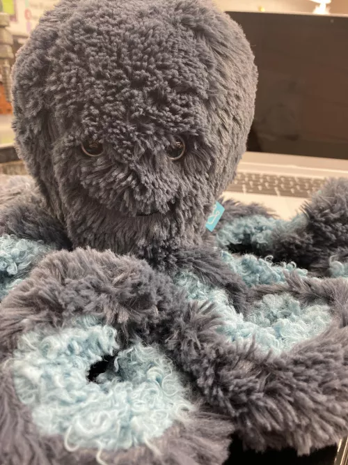 Brought my plushie along with me for the day 🥰🥰 by Difficult-Base4978