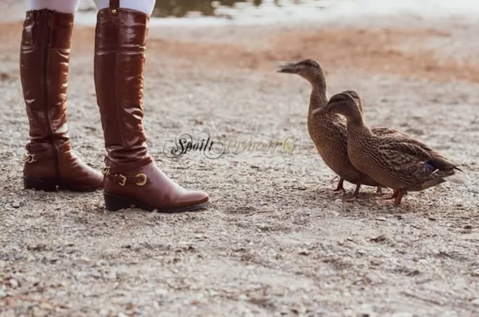 Brown leather riding boots even these ducks admire them 😁 by SpoiltPrincessG