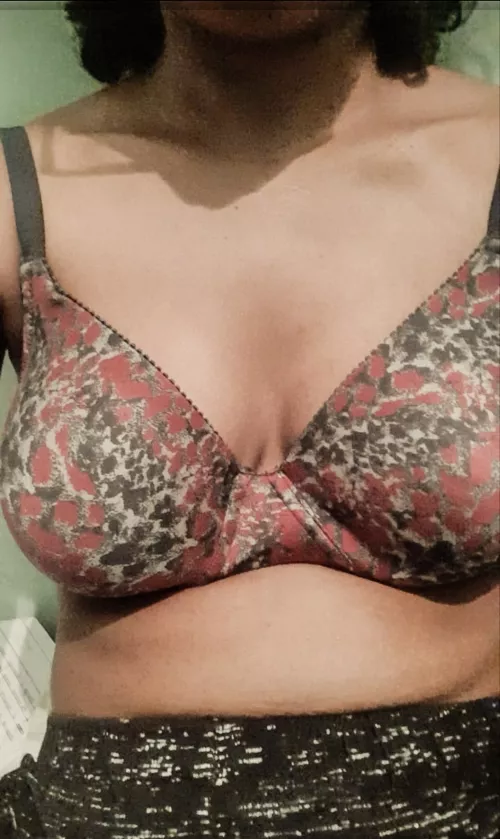 Brownie ❤️ by throwawayFberry