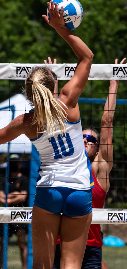 Bruin Outdoor Hustle by __Lifeguard__