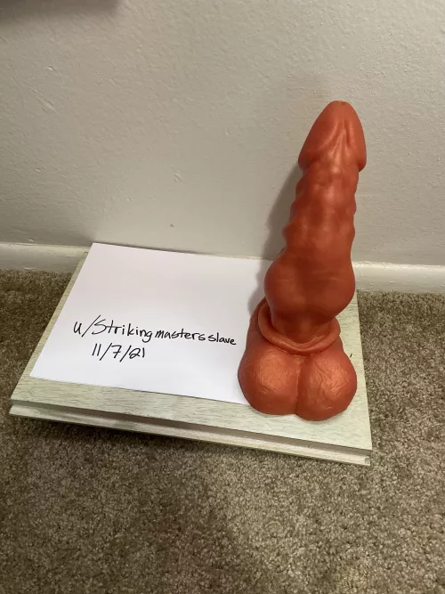 Bruiser medium firmness size is large color is taurus$120 or best offer used once was just too much for me ( boiled for safety before sent out) by Strikingmastersslave