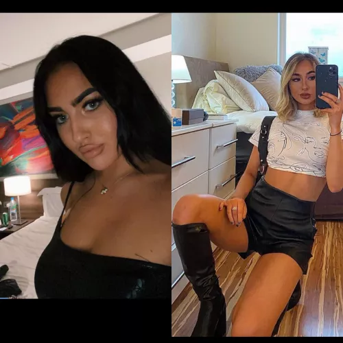 Brunette or blonde is the question by Practical_Ad_4406