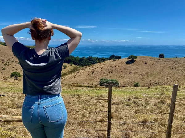 Bryce Dallas Howard has the best ass by Rengoku51150