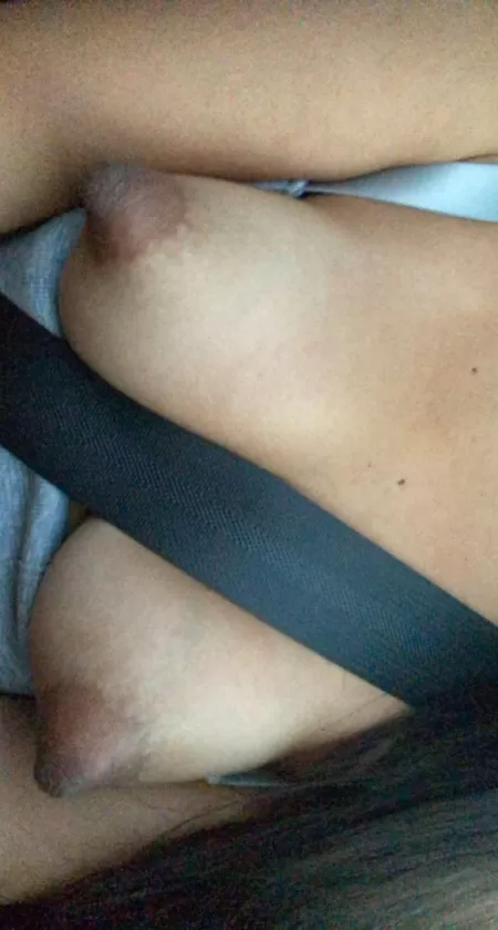 Buckle up for safety ;) by Persian_MilkSlave