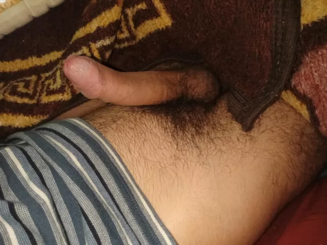 Bulgarian cock 🇧🇬 by void012