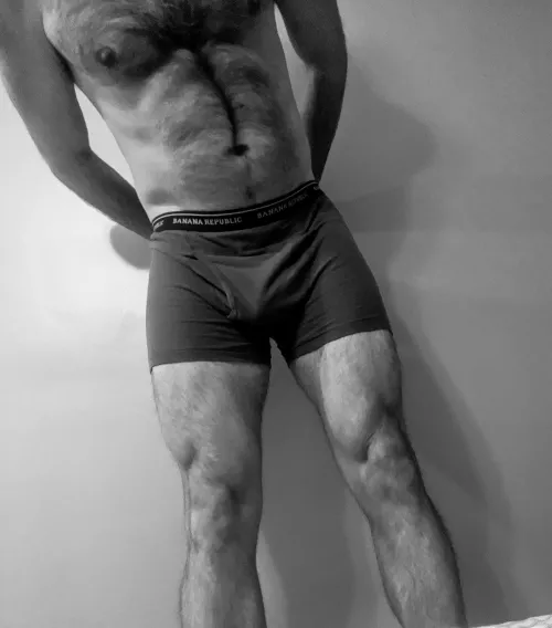 Bull looking for your wife by fitdad212