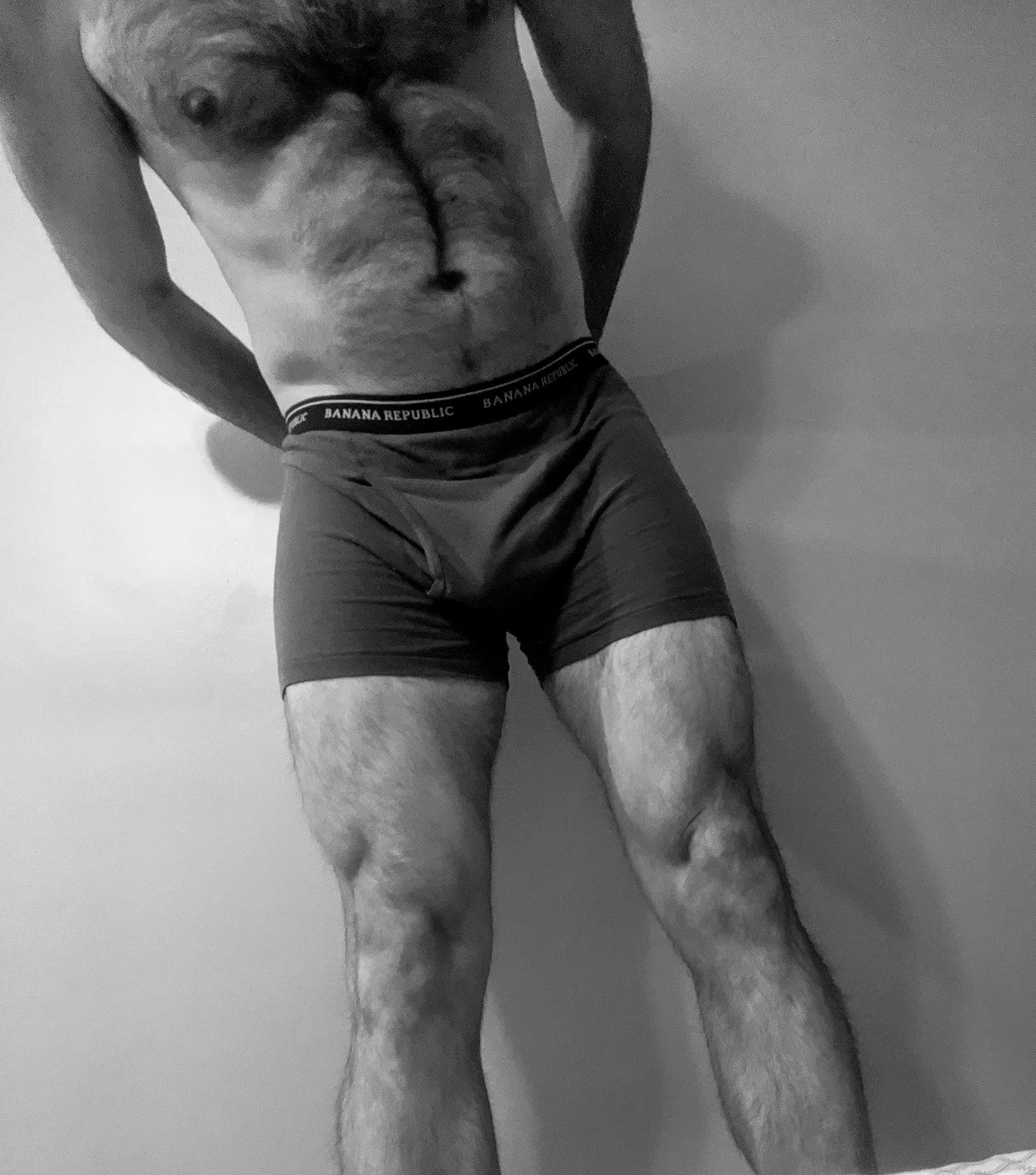 Bull looking for your wife posted by fitdad212