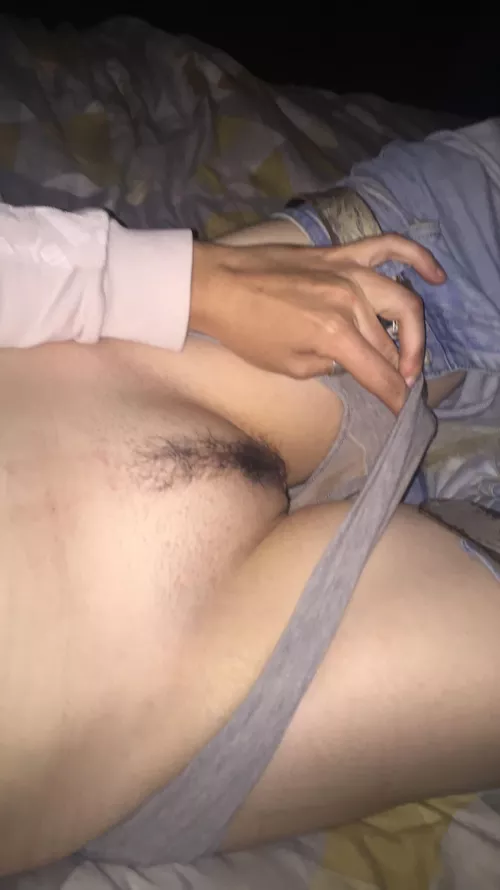 Bull wanted Ireland (cuckold)message on Kik