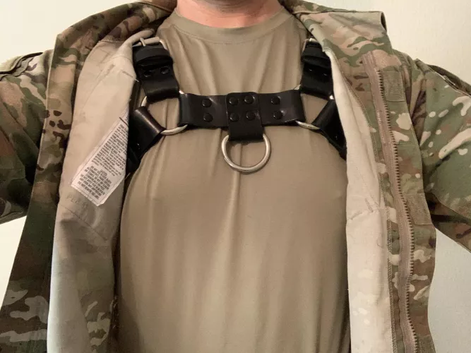 Bulldog harness under my uniform (twitter in comments) by armygay1