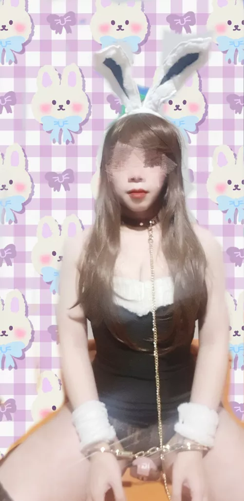 Bunny for Halloween? by jenjencd