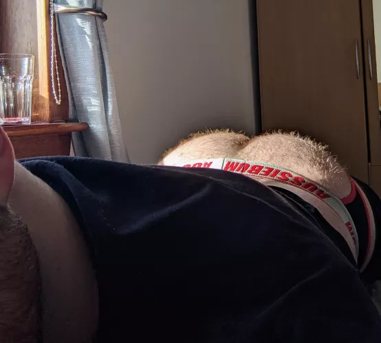 buns in the sun, a rare winter sight 🥹 by treescoffee