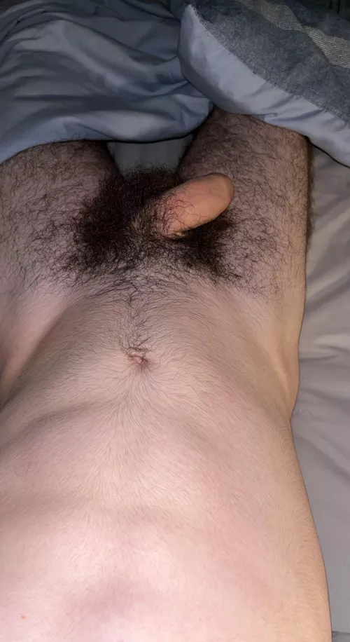 Bush😈 by sharry_18