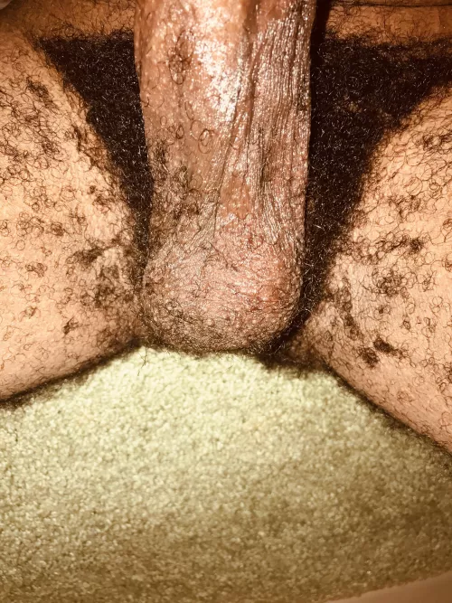 Bush and balls. by TennesseeBator