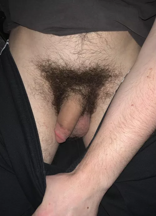 Bush for days by Short_Oil