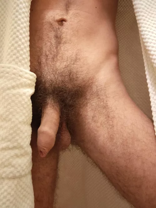 Bush is getting out of control by hairyboiii