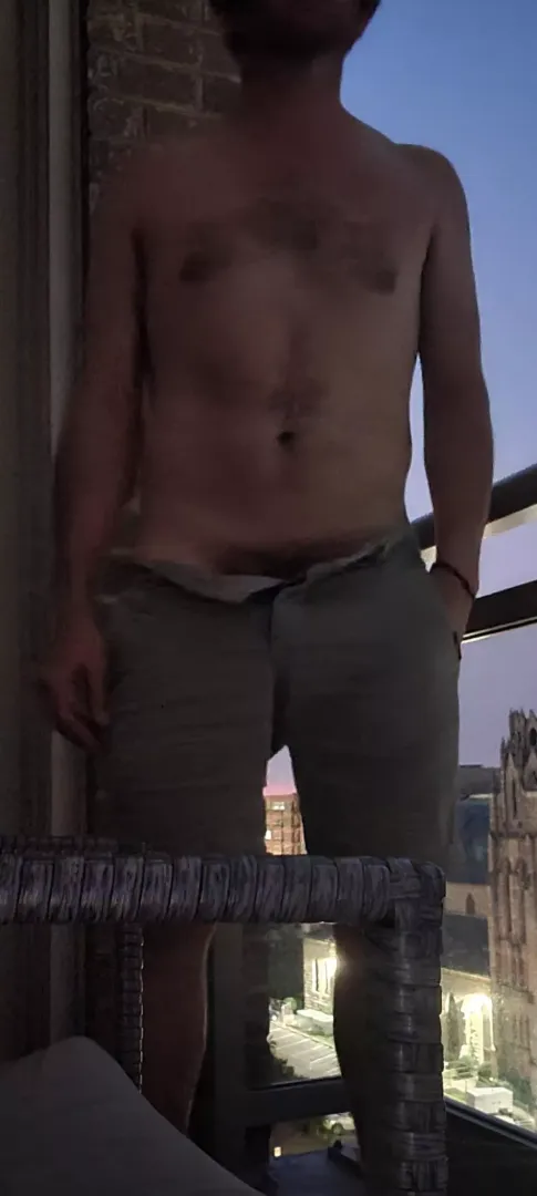 Bush on the balcony posted by randombro8395948