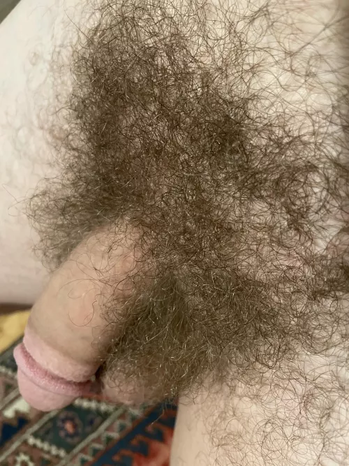 bush too by hardnstrokn