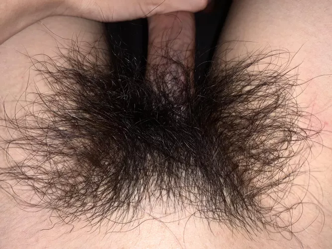 Bush Update: Getting very hairy and thick! by HairyWildBush