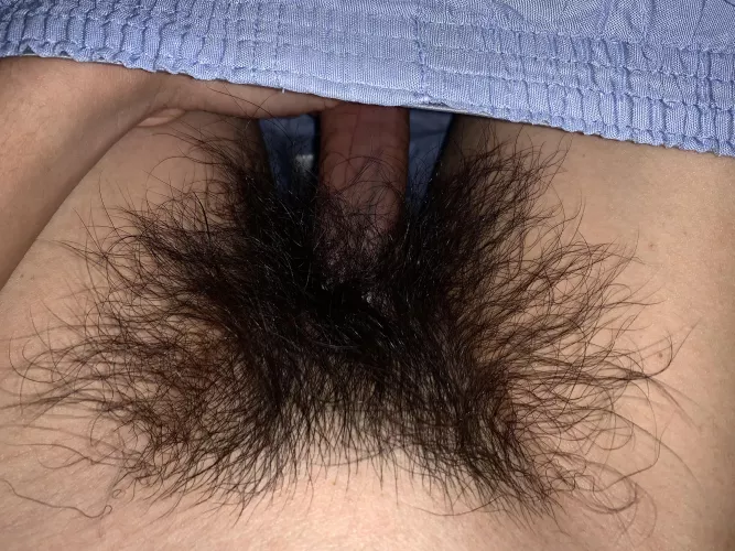 Bush Update: Looking very hairy and thick tonight… let me know if my wild bush turns you on 😈 by HairyWildBush