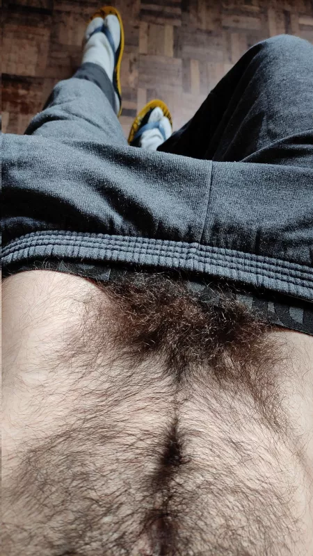 Bushes are the best by IstillfeelAliveee