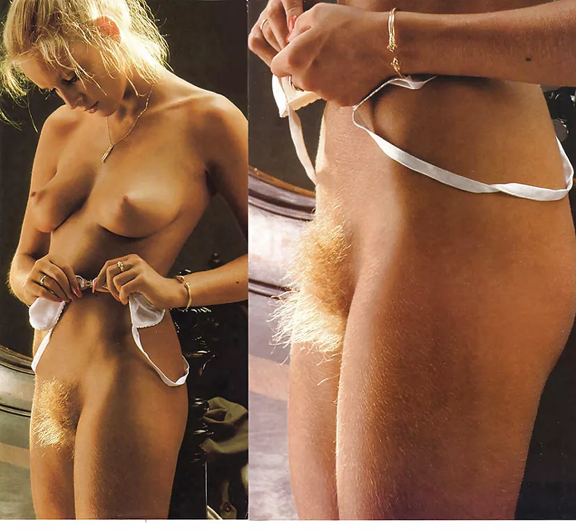 Bushy posted by el_gringo_del_norte