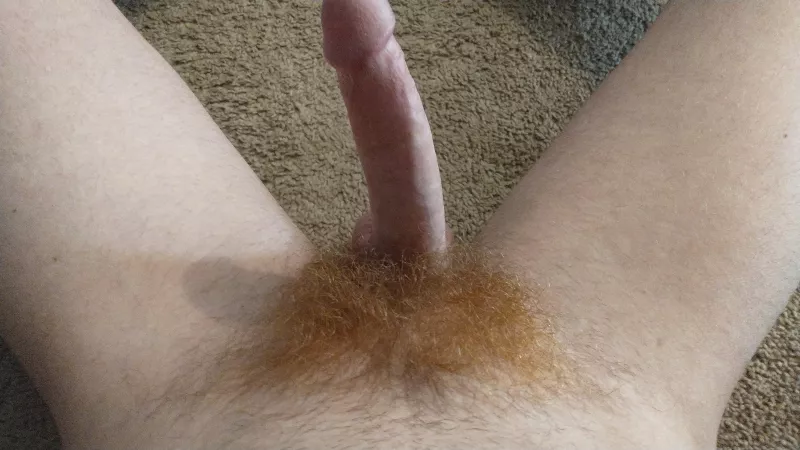 Bushy by onlylightyears