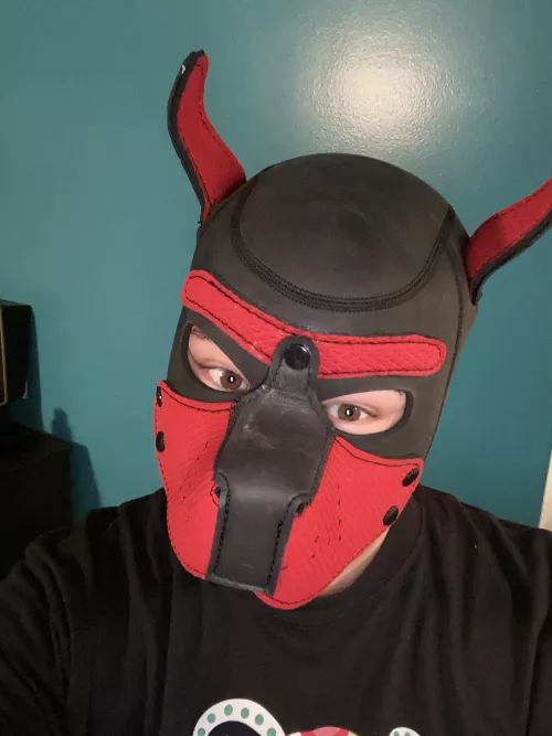 Busting out the hood for the first time in a while. by toughGuyrunner