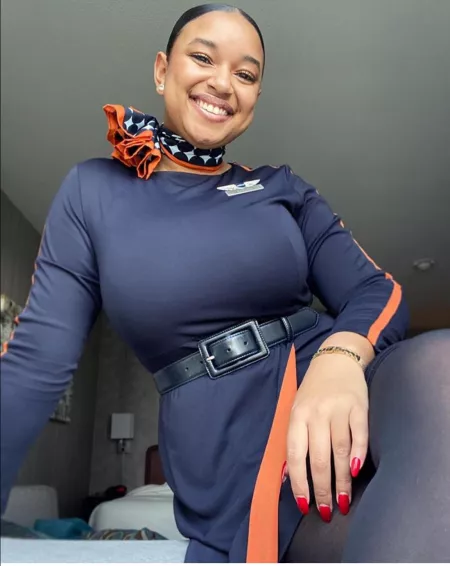 Busty Air Hostess by [deleted]