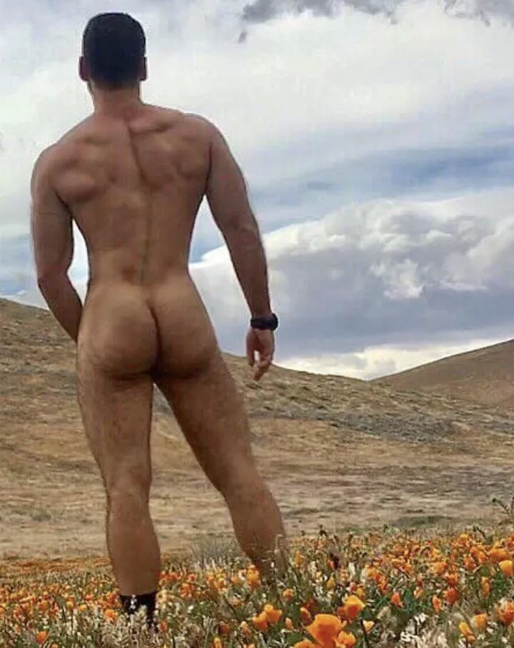 “Butt in nature” … posted by neilfromsydney2003