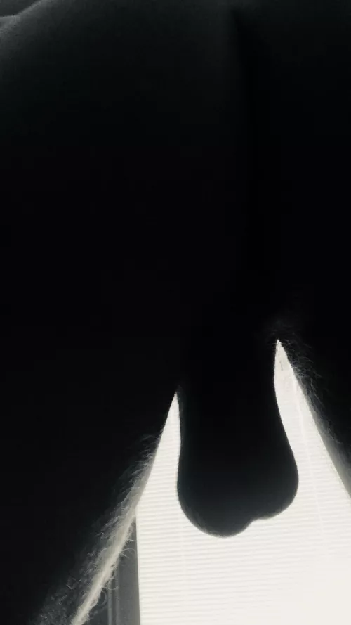 BW:Between my legs by thatonejumbo