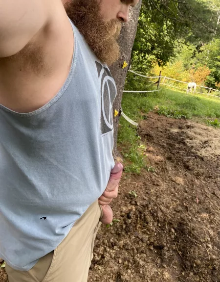 By the barn by lumberjakeme