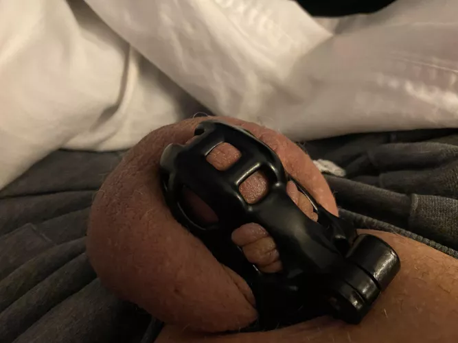 Cage check request by StatusVast8094