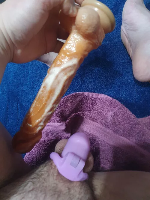 Caged and creamy waiting for my bull to arrive🔒🍑🍆 by Edc500