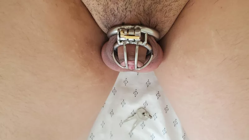 Caged and plugged #asian #transgender by nsfwfemme