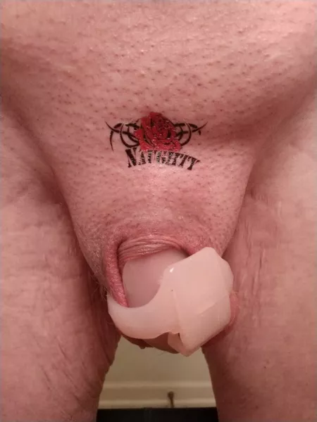 Caged and wanting to be a naughty sissy by CD_Jeanette