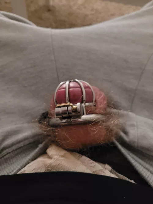 #caged #small #hairy #dick #clitty #horny by jules11489