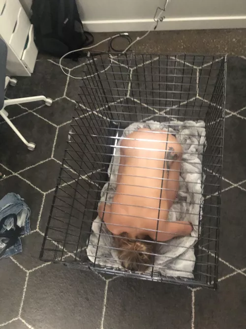 Caged…and in bliss by pyrrh0