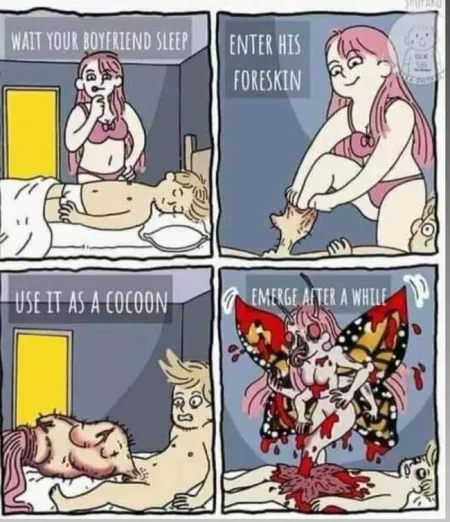 Cake-day cocoon! by PTICpawt