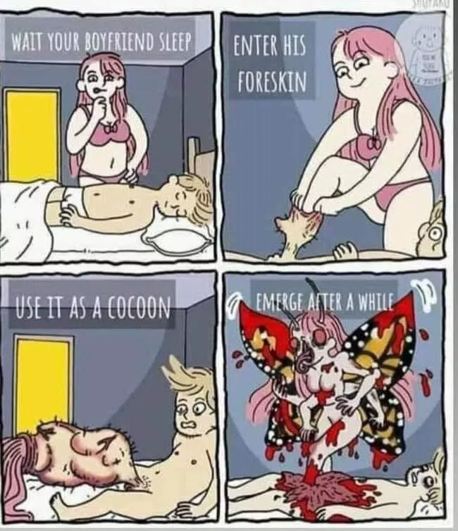 Cake-day cocoon! posted by PTICpawt