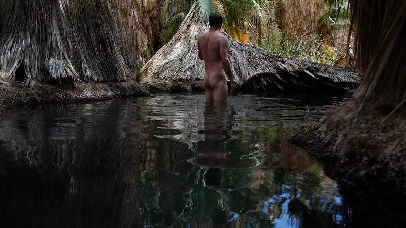 California Tarzan Need Jane at Oasis by arb2point0