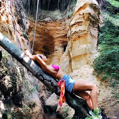 Call of the wild by notchrisdk